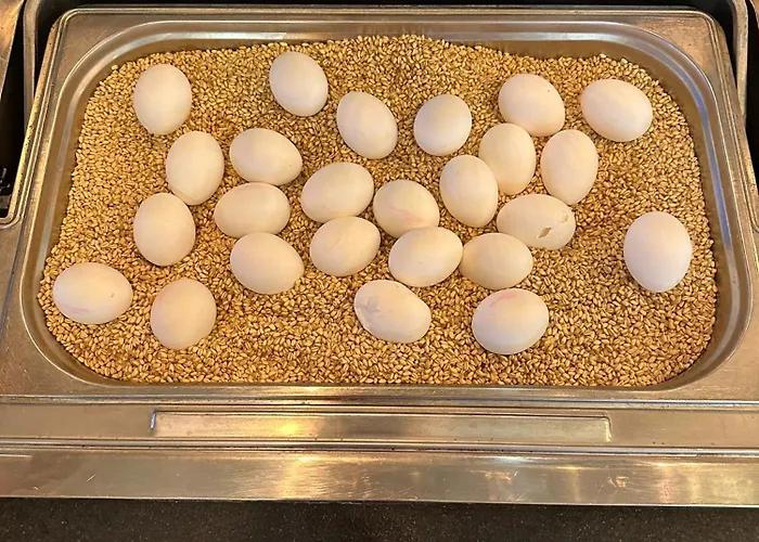 Grand Millennium Konya